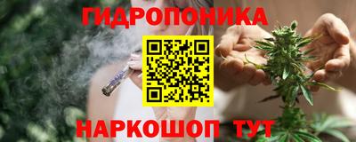 спиды Заволжье