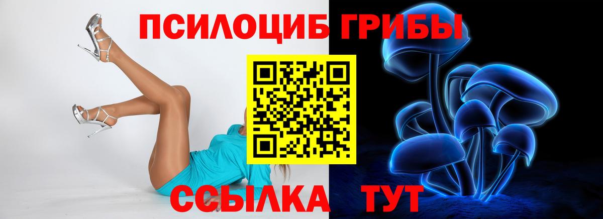 Псилоцибиновые грибы прущие грибы Майский